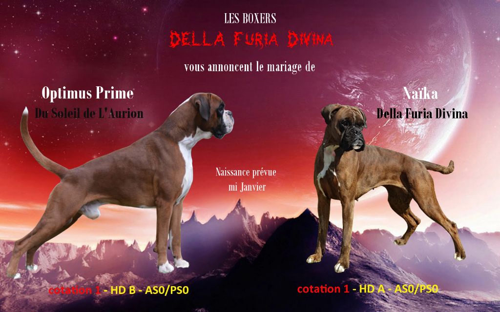Della Furia Divina - Nouvelle saillie: Naïka et Optimus Prime