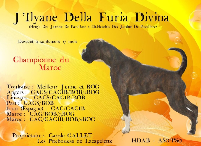 Della Furia Divina - J'Ilyane, championne du Maroc!!!