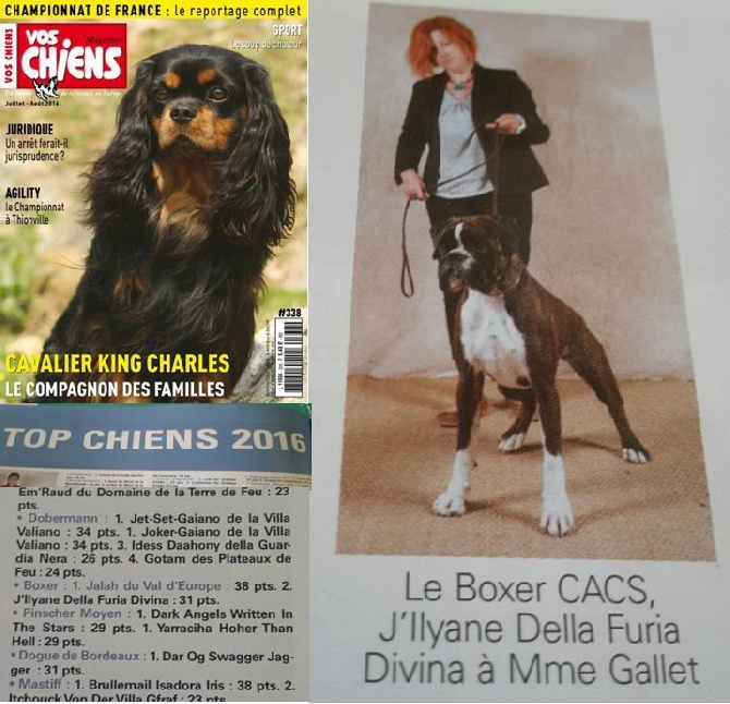 Della Furia Divina - Vos Chiens Magazine