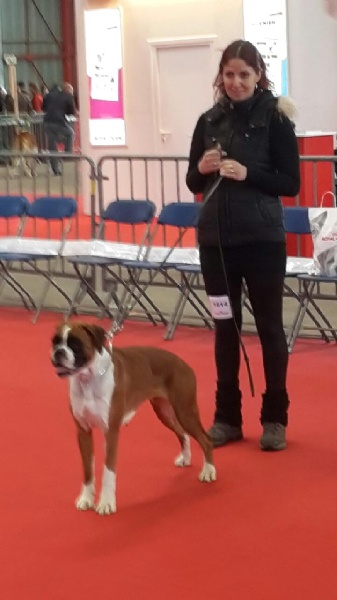 Gemma Del Colle Dell'Infinito